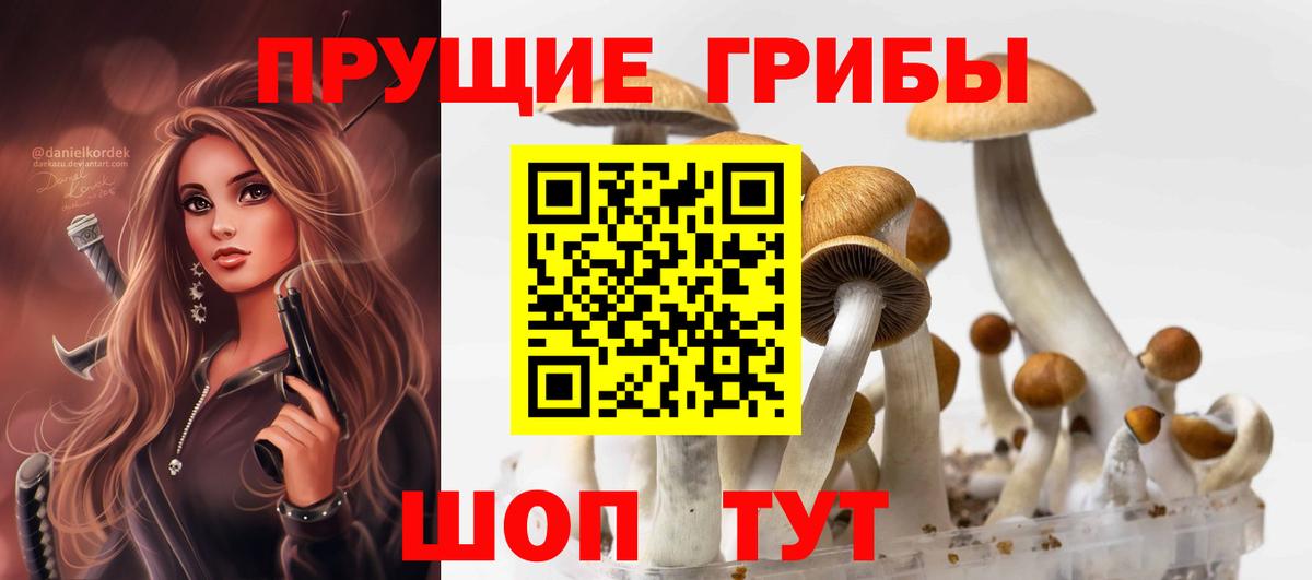 Псилоцибиновые грибы GOLDEN TEACHER Егорьевск