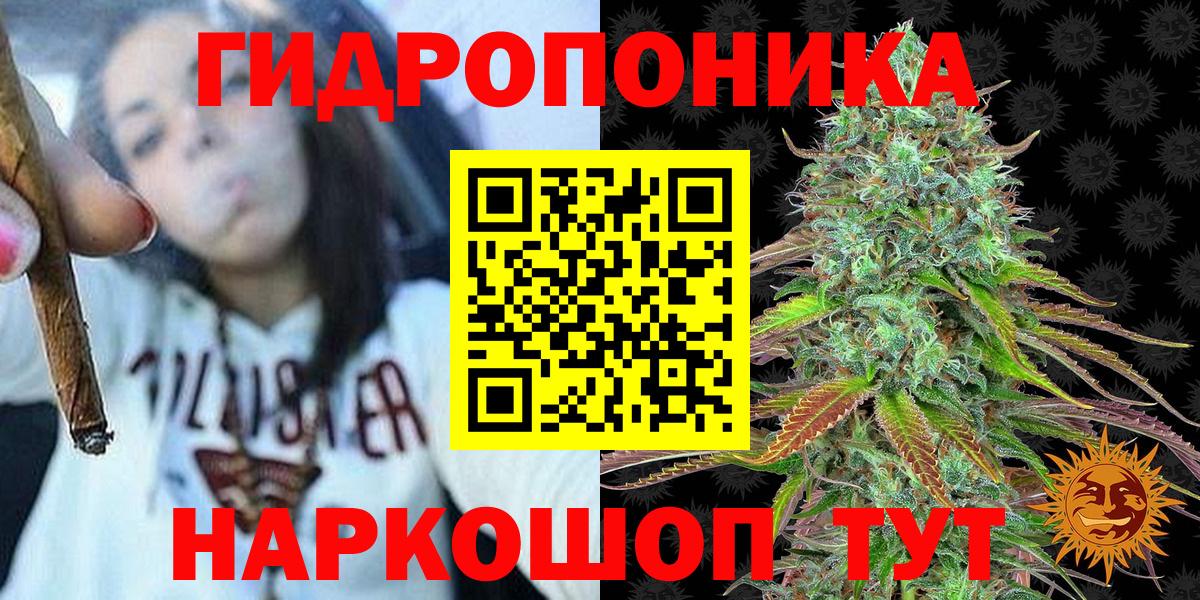 Конопля конопля  Каннабис сатива  Егорьевск  Марихуана OG Kush  Вход с VPN 